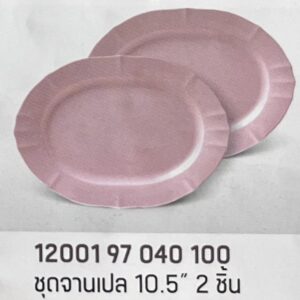 ชุดจานเปล 10.5" 2 ชิ้น ลายสีพื้นคาร์เนชั่น (สีโอลด์โรส)