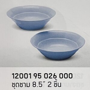 ชุดชาม 8.5" 2 ชิ้น ลายสีพื้นคลาสสิค (สีฟ้า)