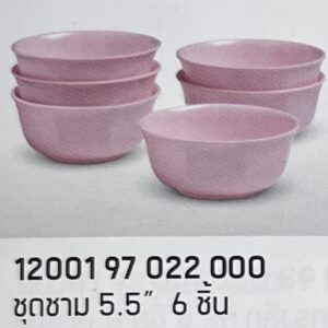 ชุดชาม 5.5" 6 ชิ้น ลายสีพื้นคลาสสิค (สีโอลด์โรส)